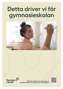 Detta driver vi för gymnasieskolan - folder A5
