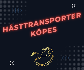 Sälja hästsläp – snabb värdering och betalning på plats hos Equistore