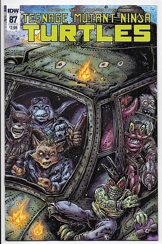 Teenage Mutant Ninja Turtles # 87 Cover B NM