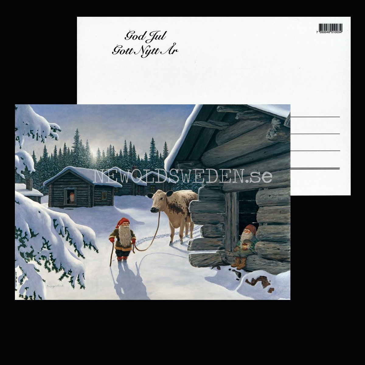 Tomten och Rosa Jan Bergerlind - Julkort A4 - BB23 - 2