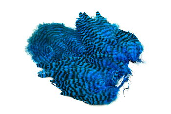 Whiting Rooster SH/C