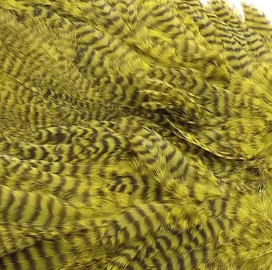 Whiting Rooster SH/C - 24