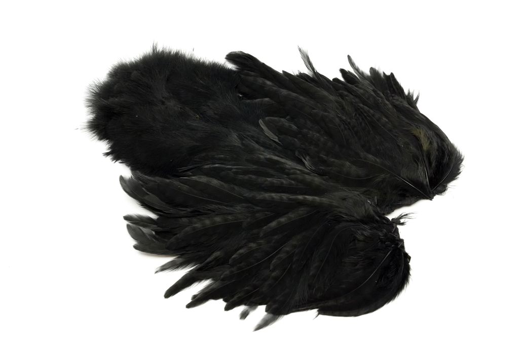 Whiting Rooster SH/C - 14