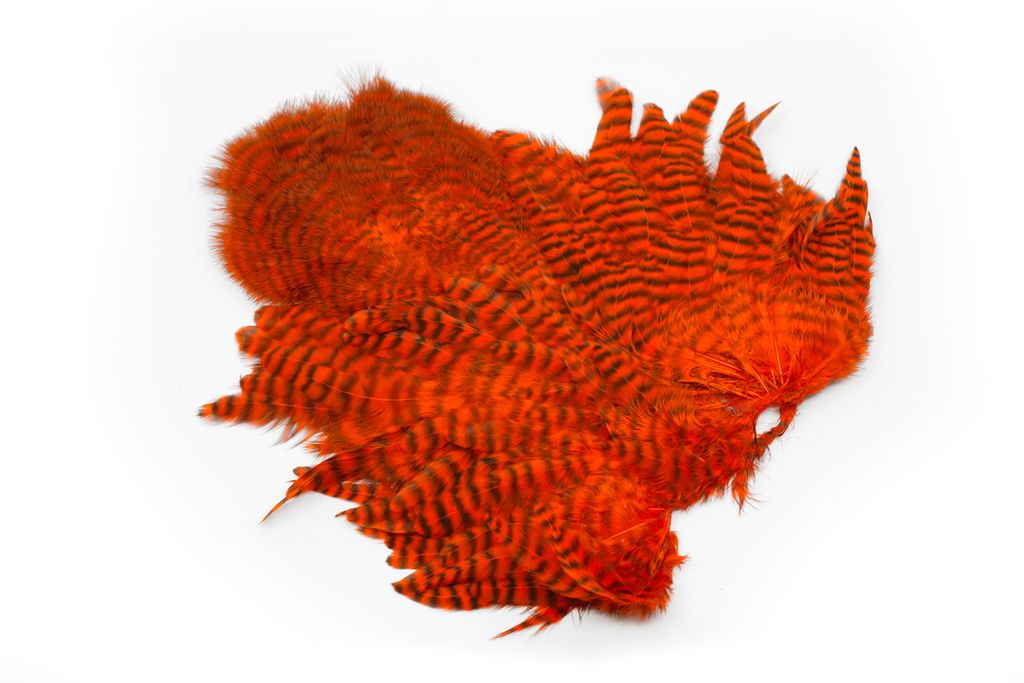 Whiting Rooster SH/C - 3