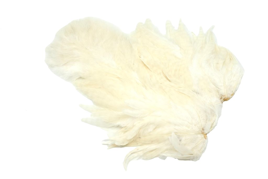 Whiting Rooster SH/C - 17