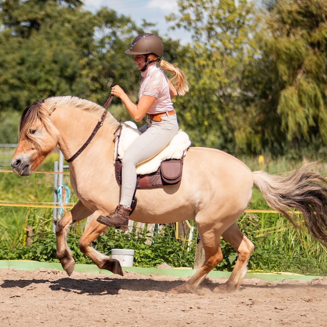 Neck ring / cordeo Edix© Rose, brown - 13