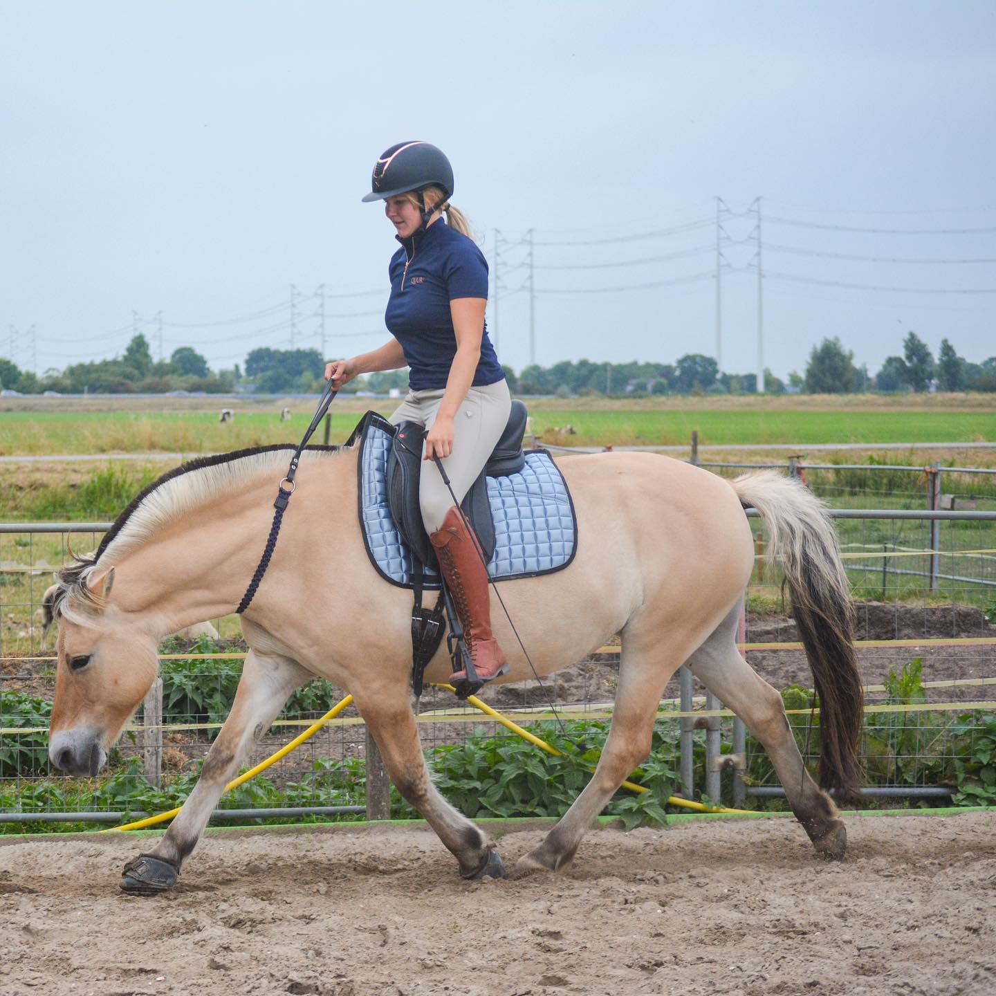 Neck ring / cordeo Edix© Rose, natural - 8