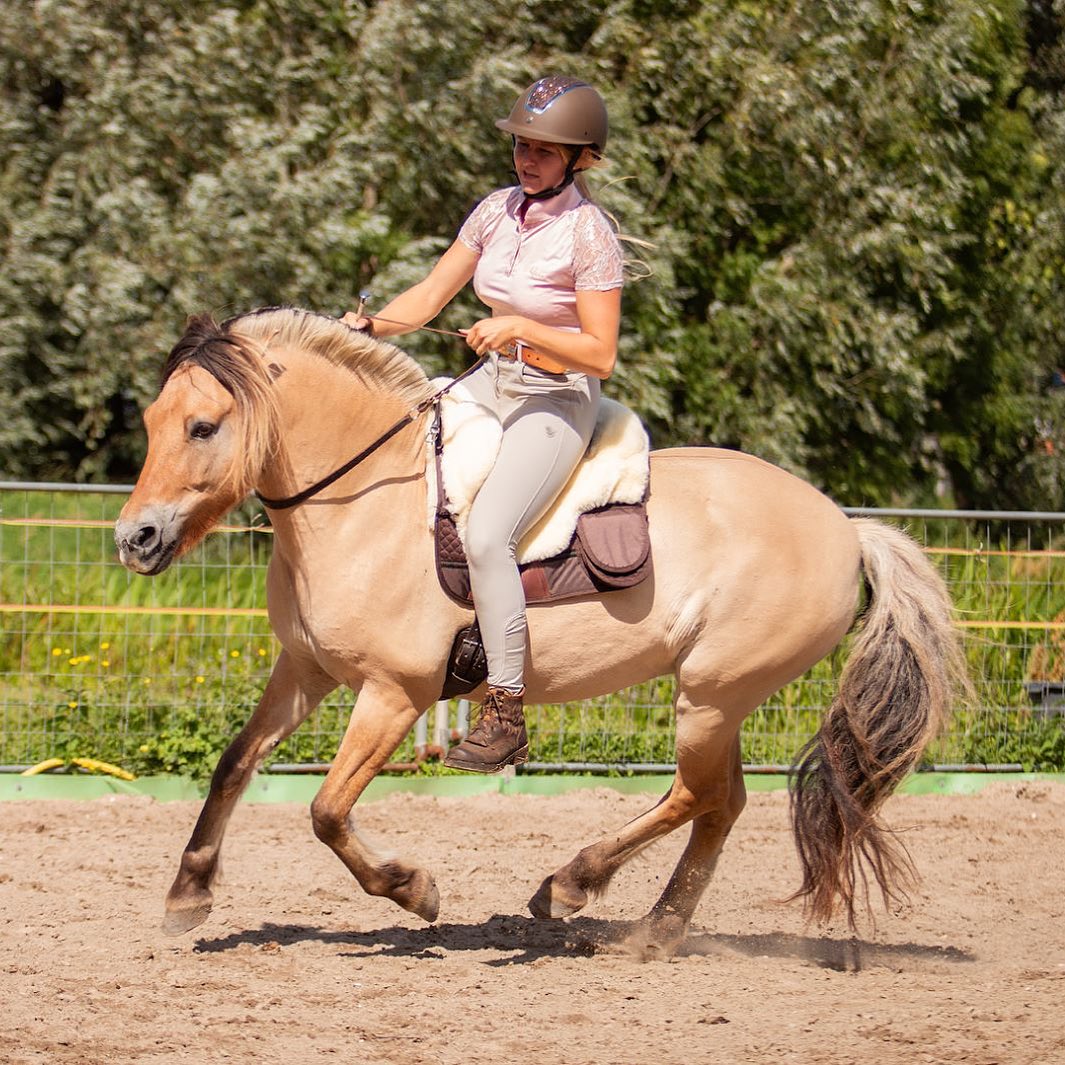 Neck ring / cordeo Edix© Rose, natural - 13