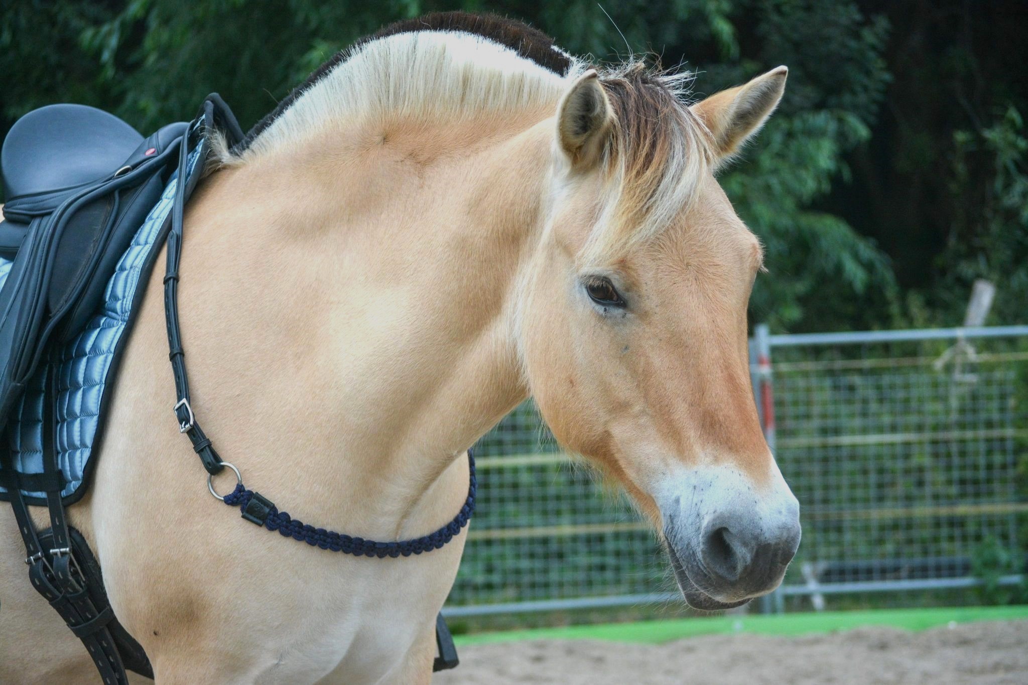 Necklace / cordeo Edix© Aisha, navy blue - 10