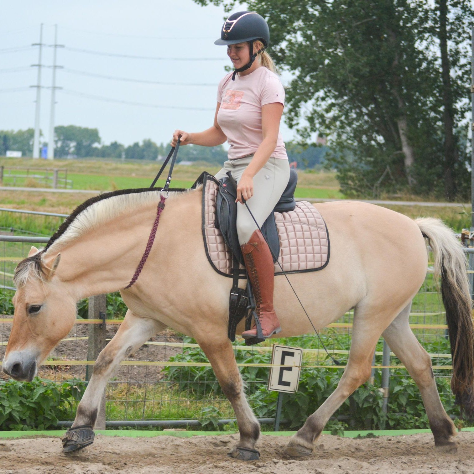 Halsring / cordeo Edix© Aisha, burgundy - 15