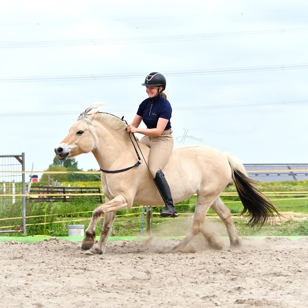 Halsring / cordeo Edix© Aisha, burgundy - 14