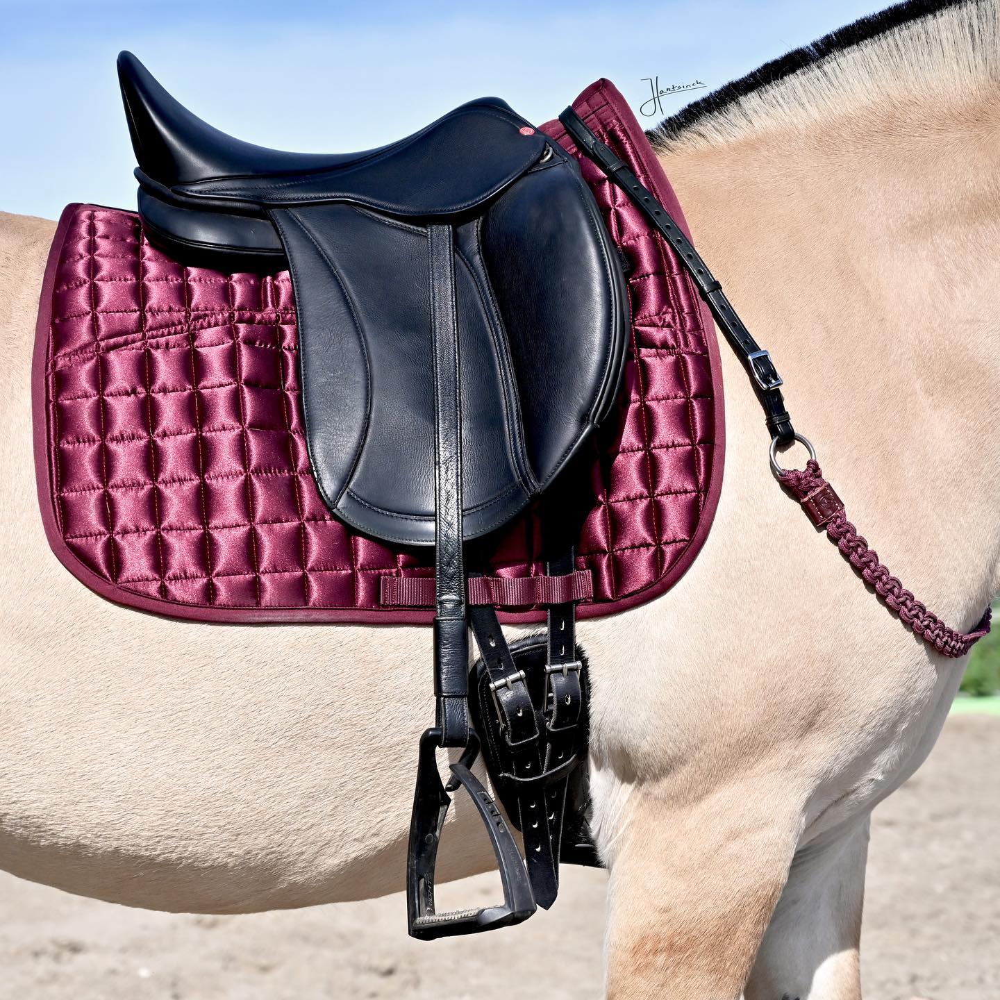 Halsring / cordeo Edix© Aisha, burgundy - 11