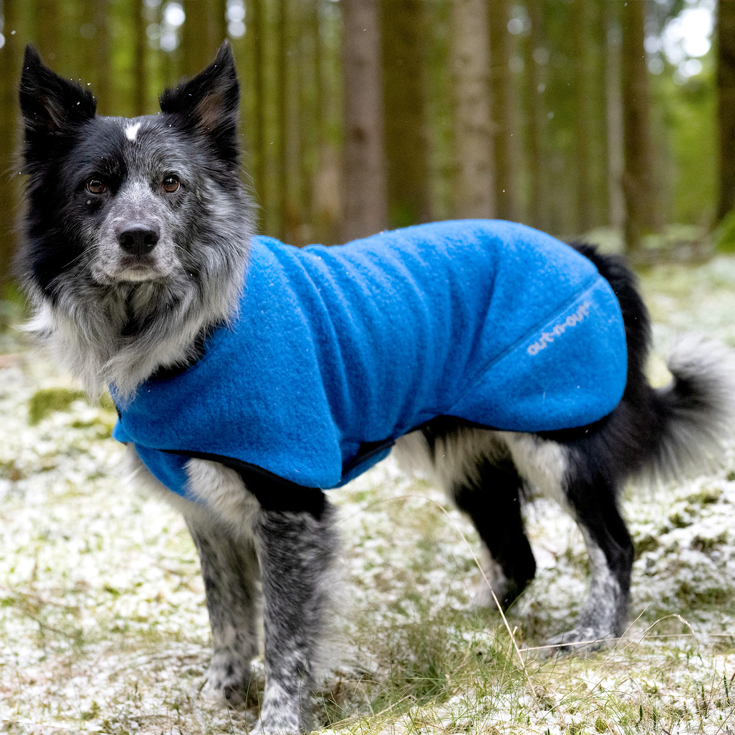 Warmwool Dog jacket  (75% wool) Blue