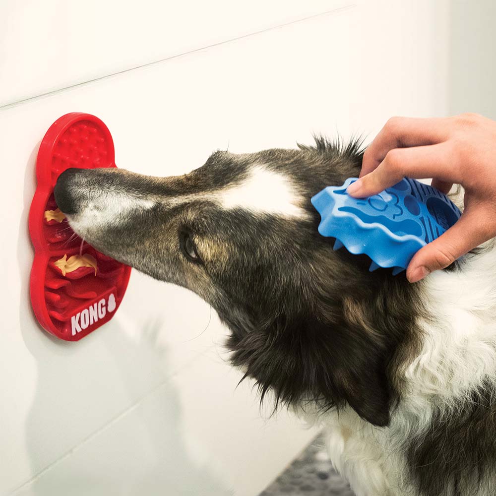 KONG Licks 