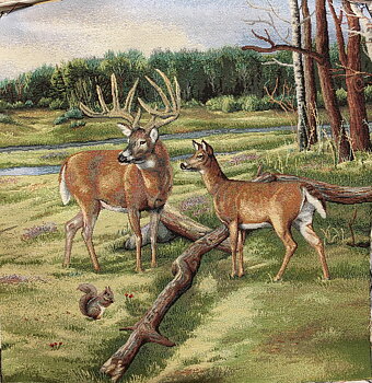 Rådjur