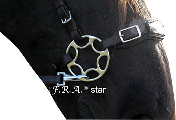 Hackamore shanks Star Wheel, silver