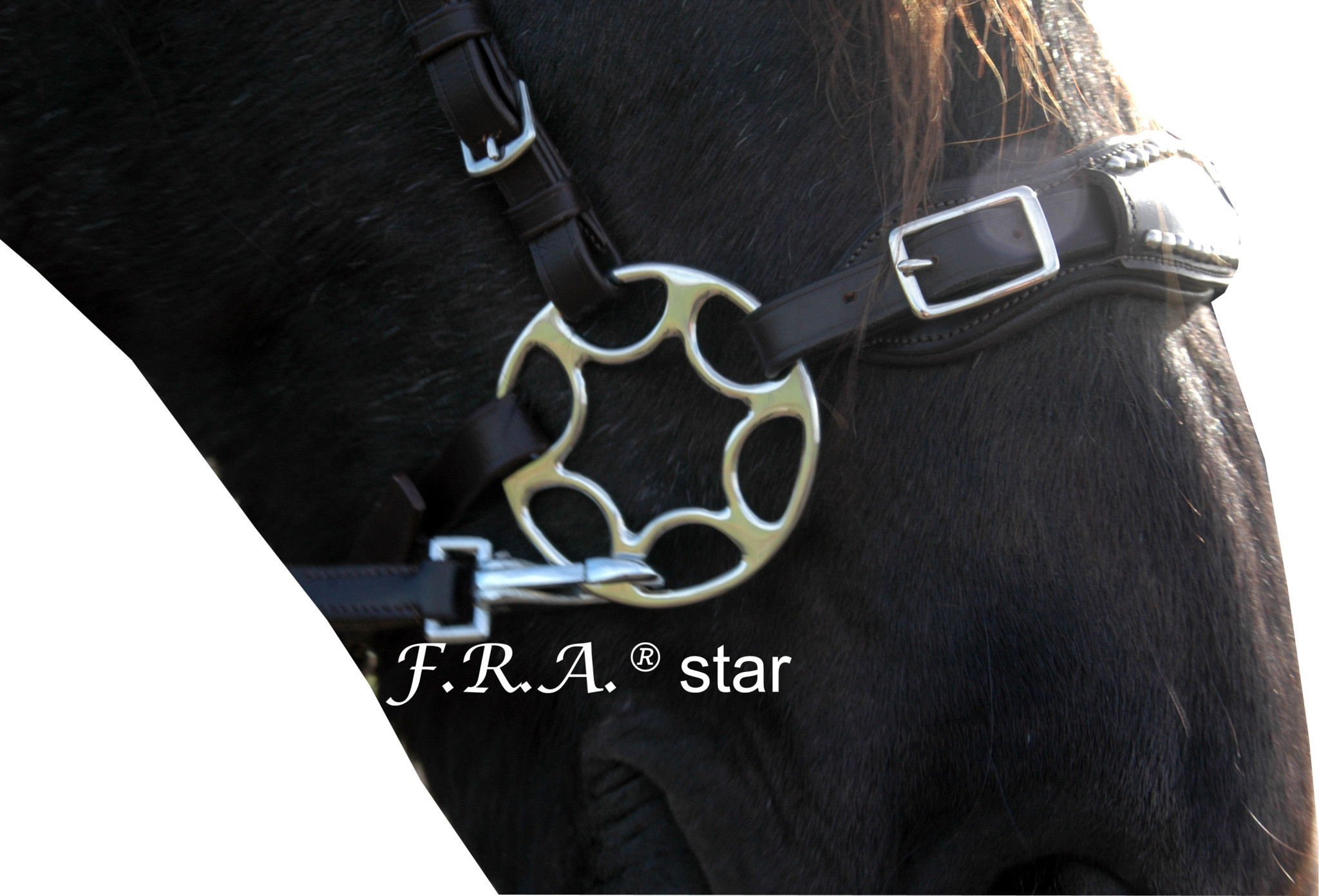 Hackamore shanks Star Wheel, gold - 2