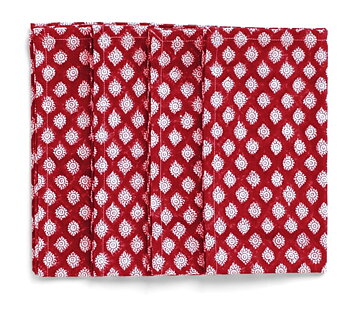 Chamois Servetter Medallion Red 