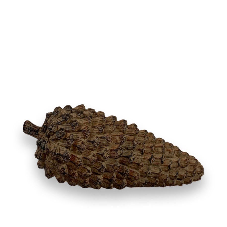 Dekoration pinus pinea