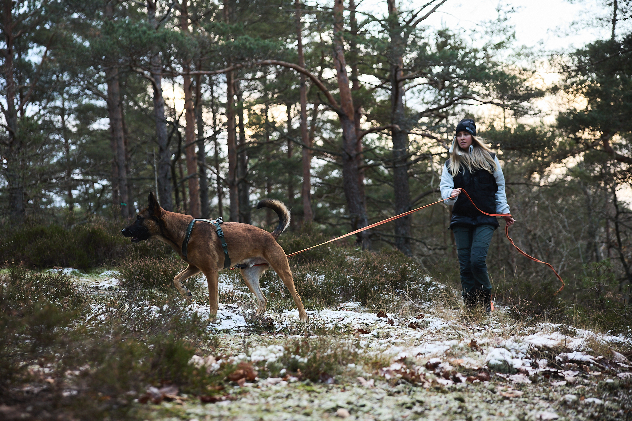 Non-Stop Dogwear Friction Long Line Track line - 15 m
