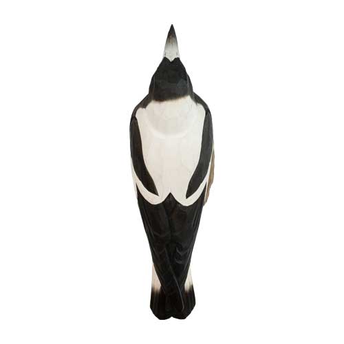 DecoBird Cassican Flûteur - 3
