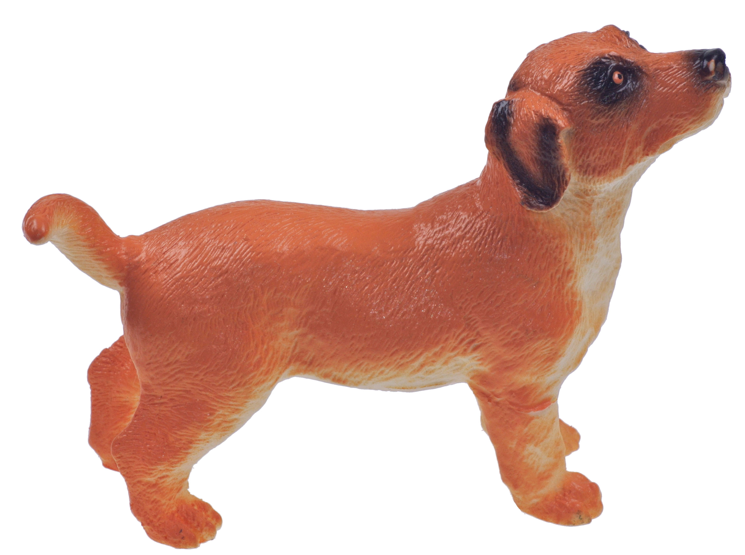 Mini Soft Touch Champion Dog assortment - 5