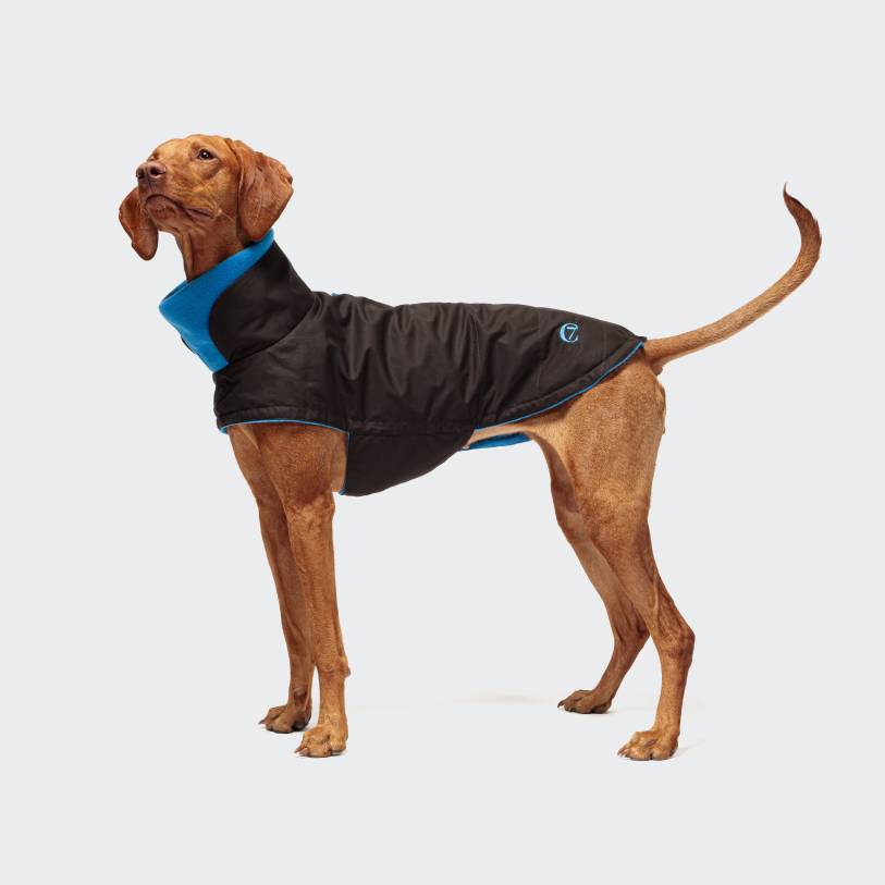 Cloud7 Dog Jacket Brooklyn Waxed Cotton Dark Brown