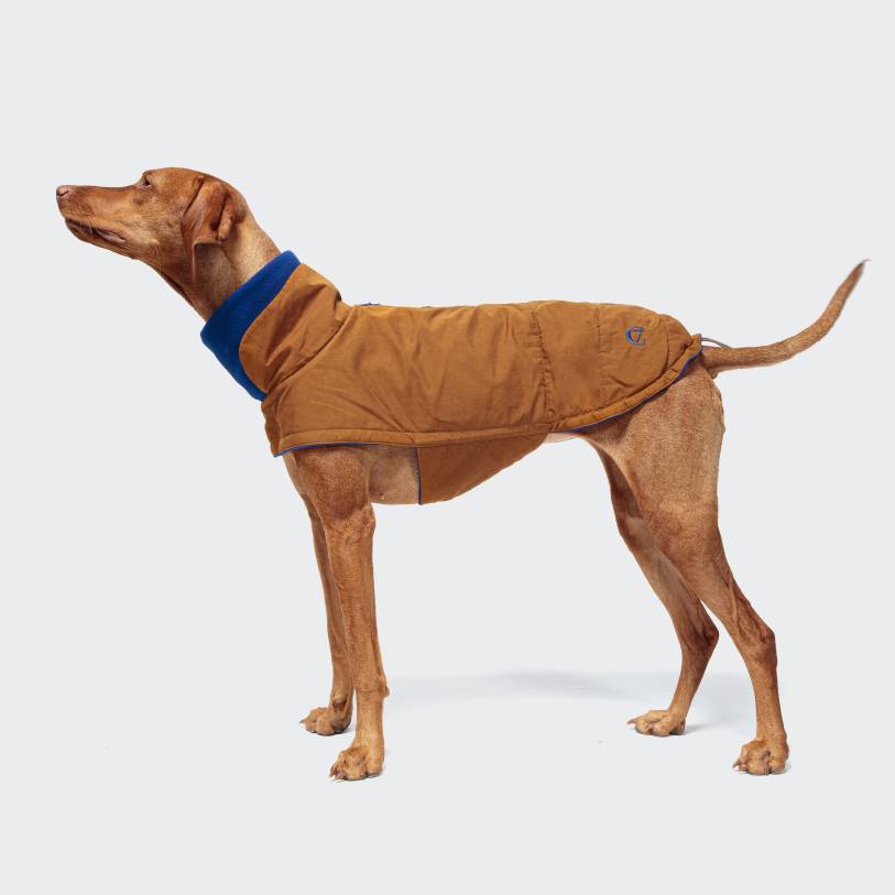 Cloud7 Dog Jacket Brooklyn Waxed Cotton Curry - 2