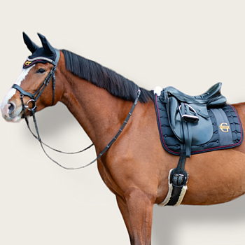Premier glittery saddle pad