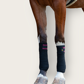 Classic bandages