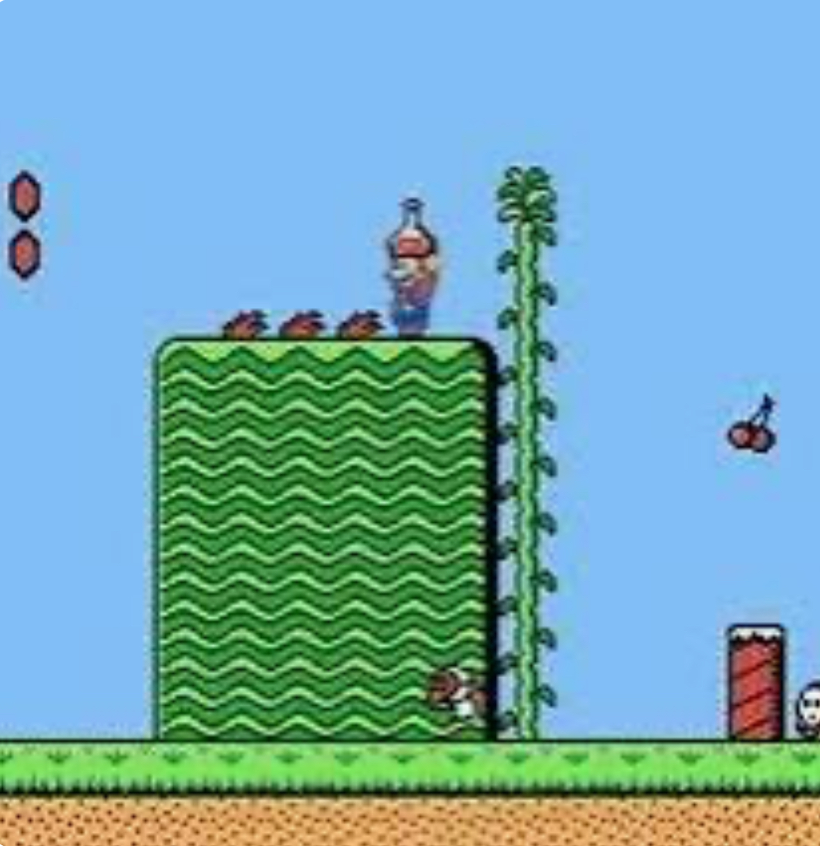 Super Mario Bros 2 - NES - 3