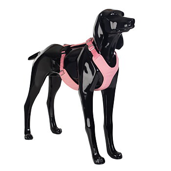 Paikka Visibility Sele - Rosa 