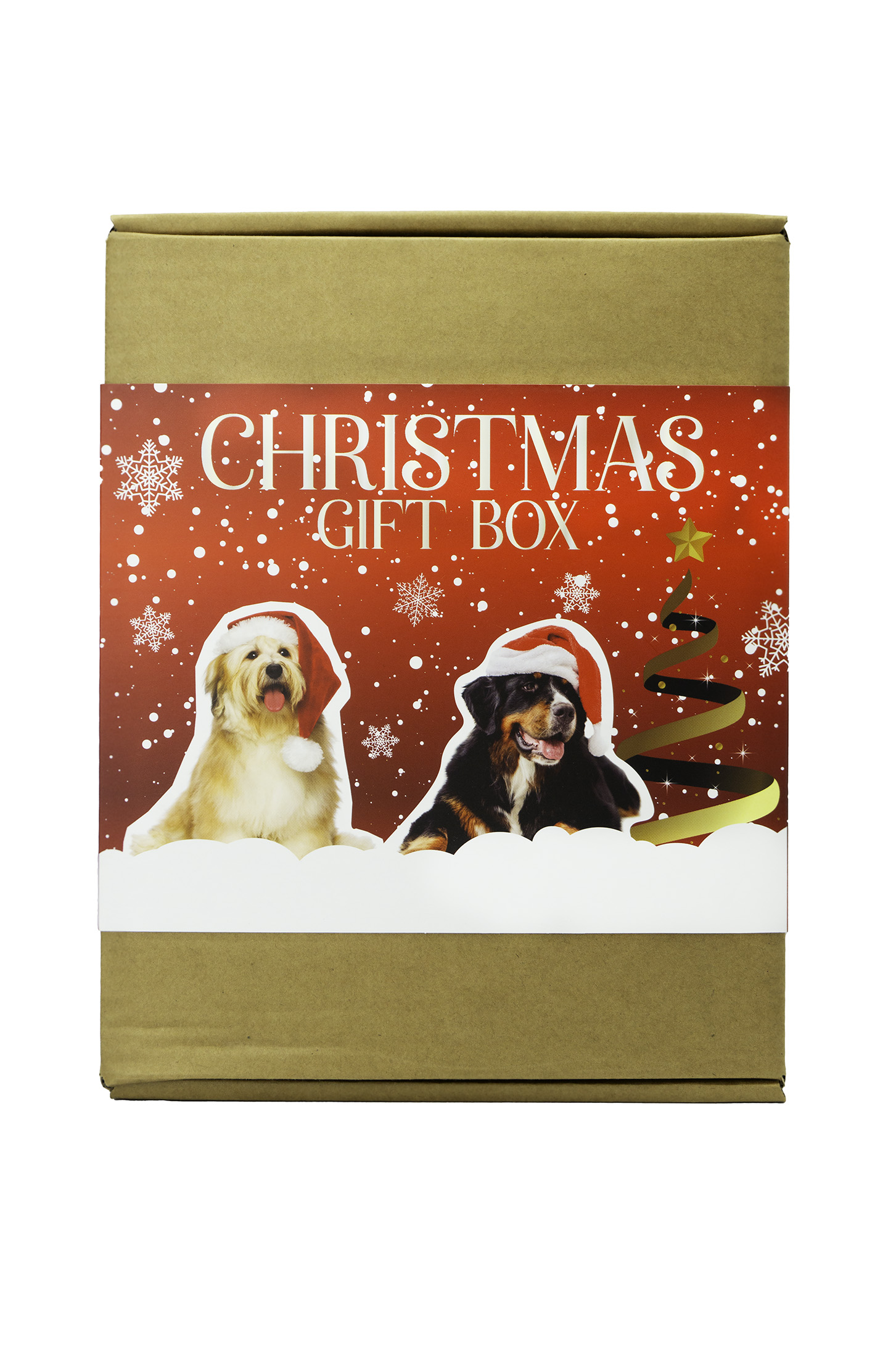 Christmas giftbox