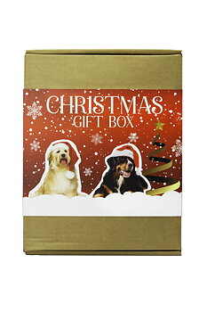Christmas giftbox