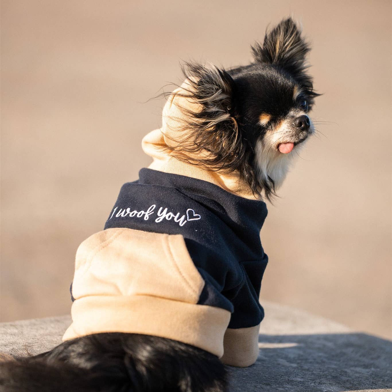 Tata's Concept Hoodie I Woof You Navy Blue - 2