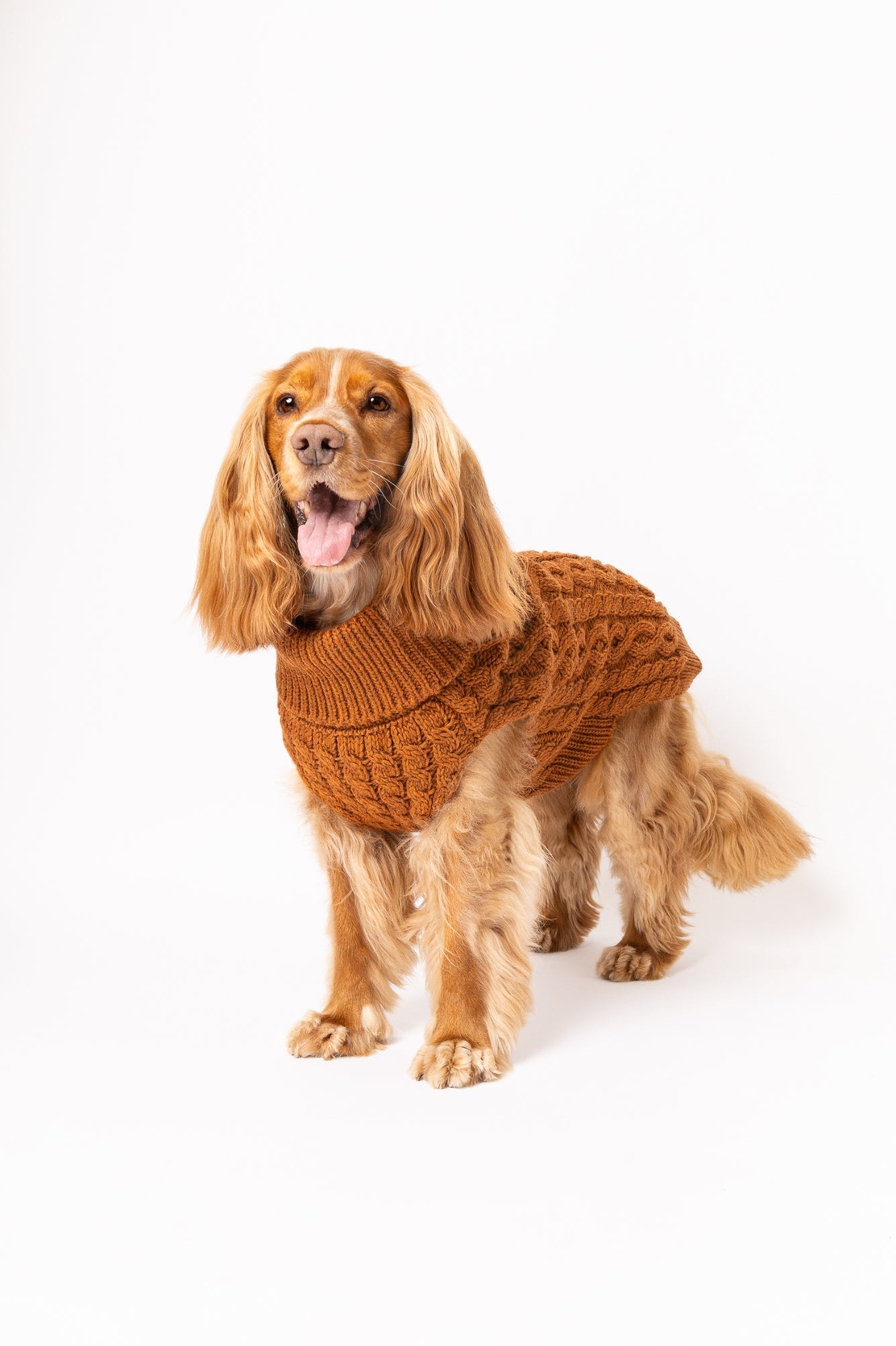 Tata´s Concept Dog Sweater Brown