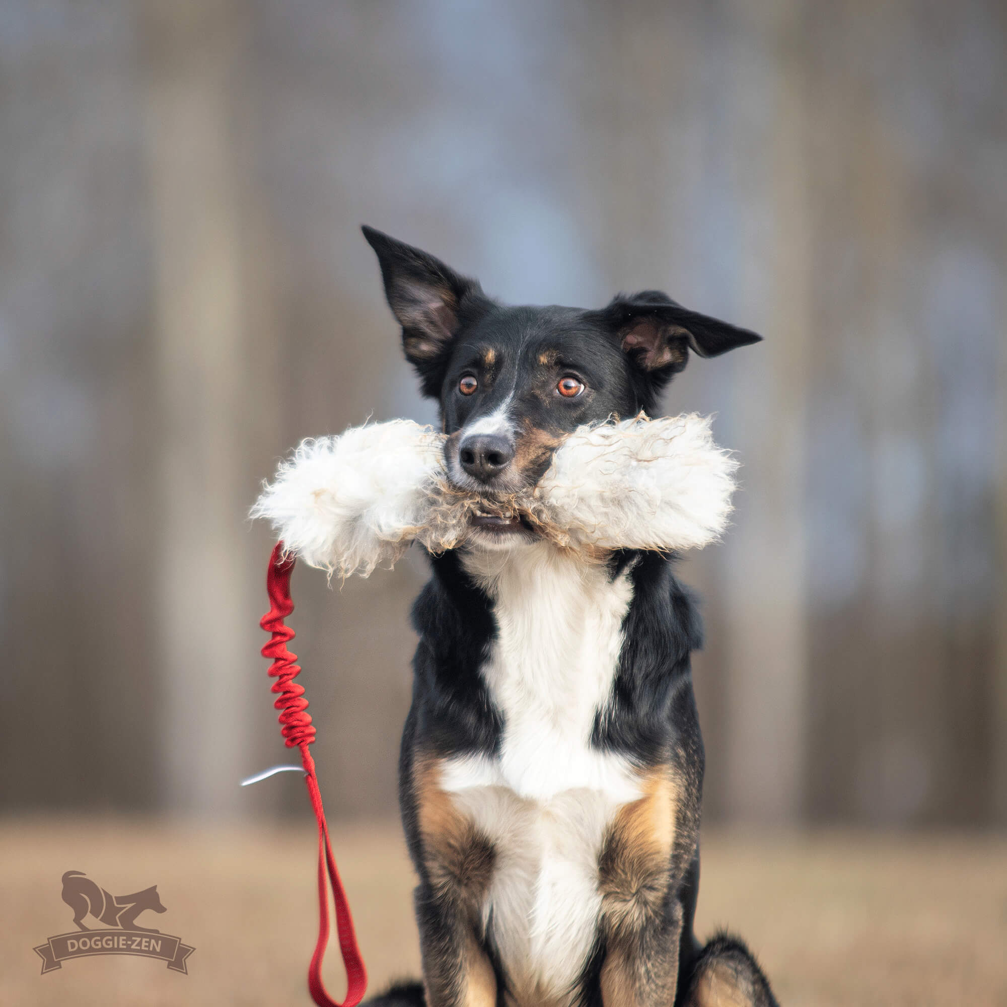 Bungee Sheepskin Tug L