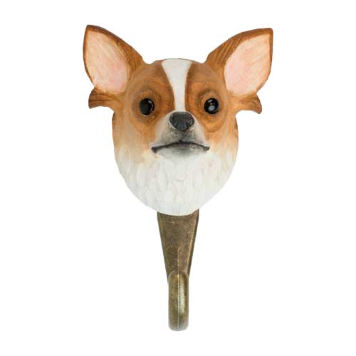 Haken Chihuahua - 4