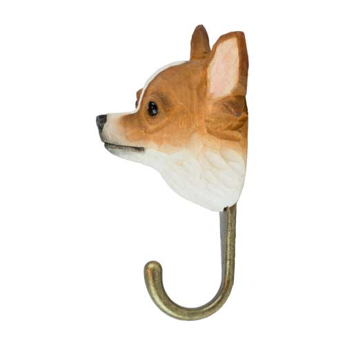 Haken Chihuahua - 3