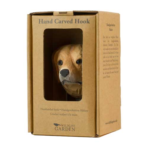 Haken Golden Retriever - 4