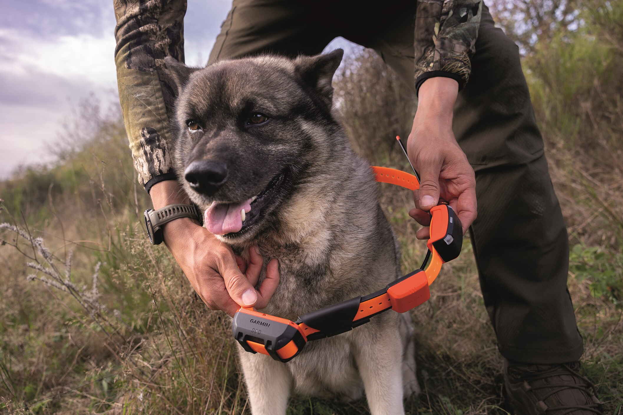 Garmin Alpha LTE Hundpejl GPS - 9
