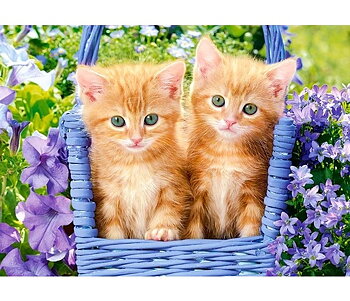 Ginger Kittens 70 Bitar Castorland