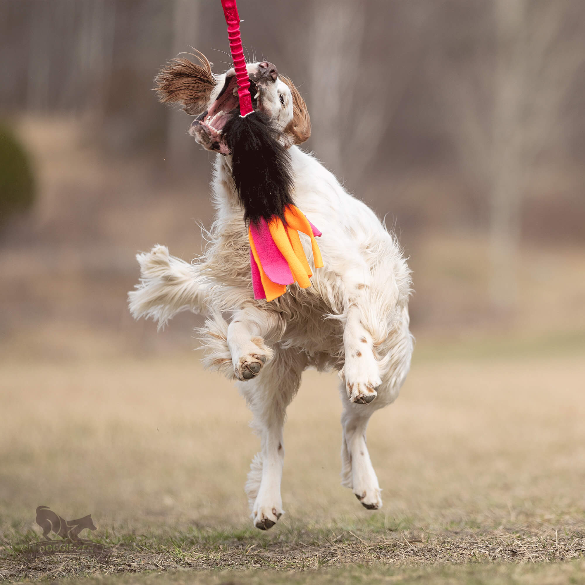 Bungee Sheepskin Tug L with Fleece Tails - 3