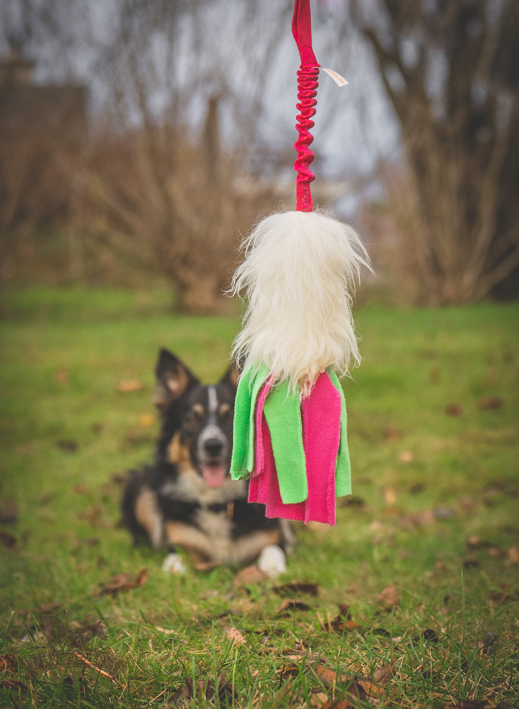 Bungee Sheepskin Tug L with Fleece Tails - 5