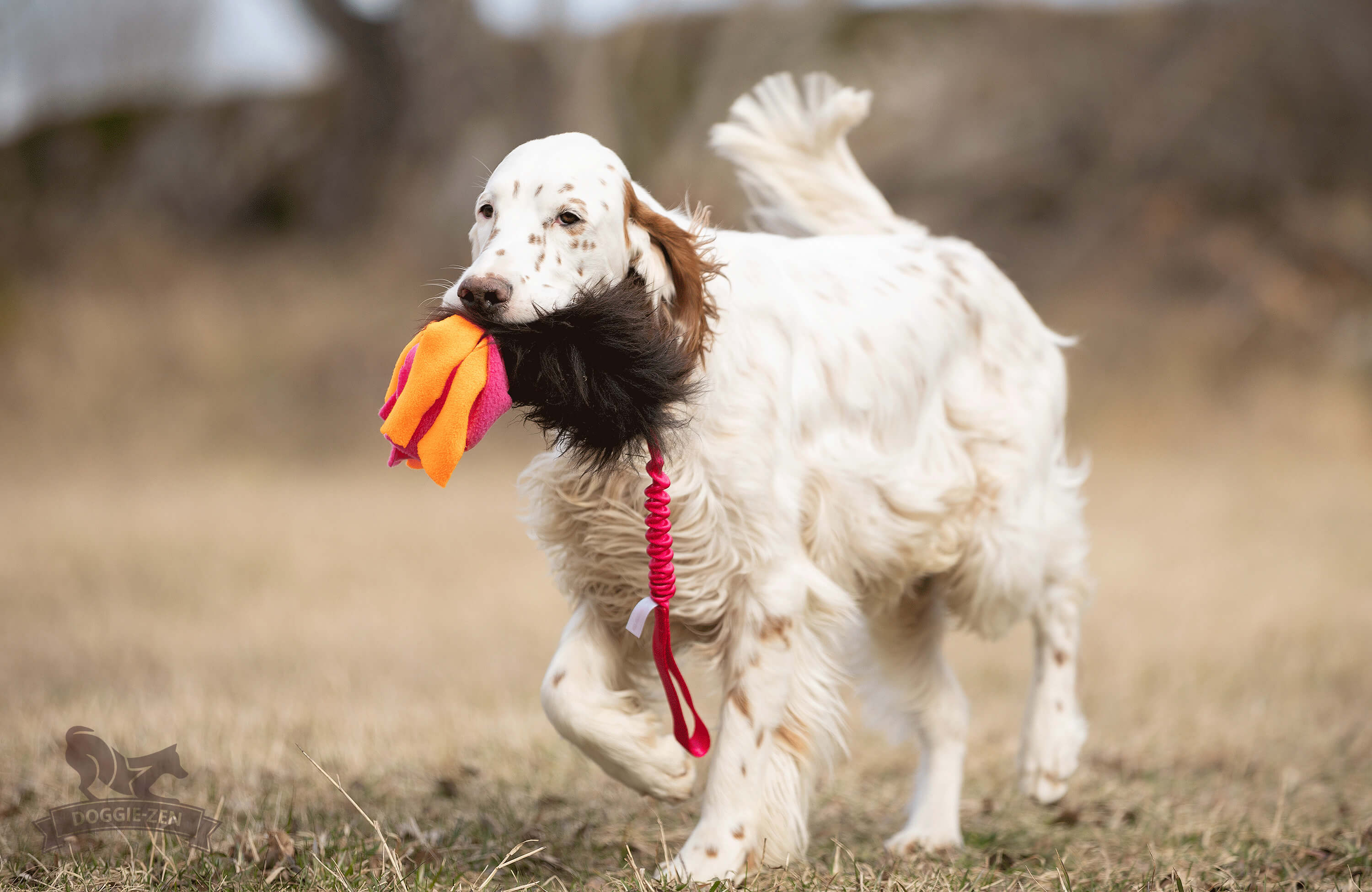 Bungee Sheepskin Tug L with Fleece Tails - 7