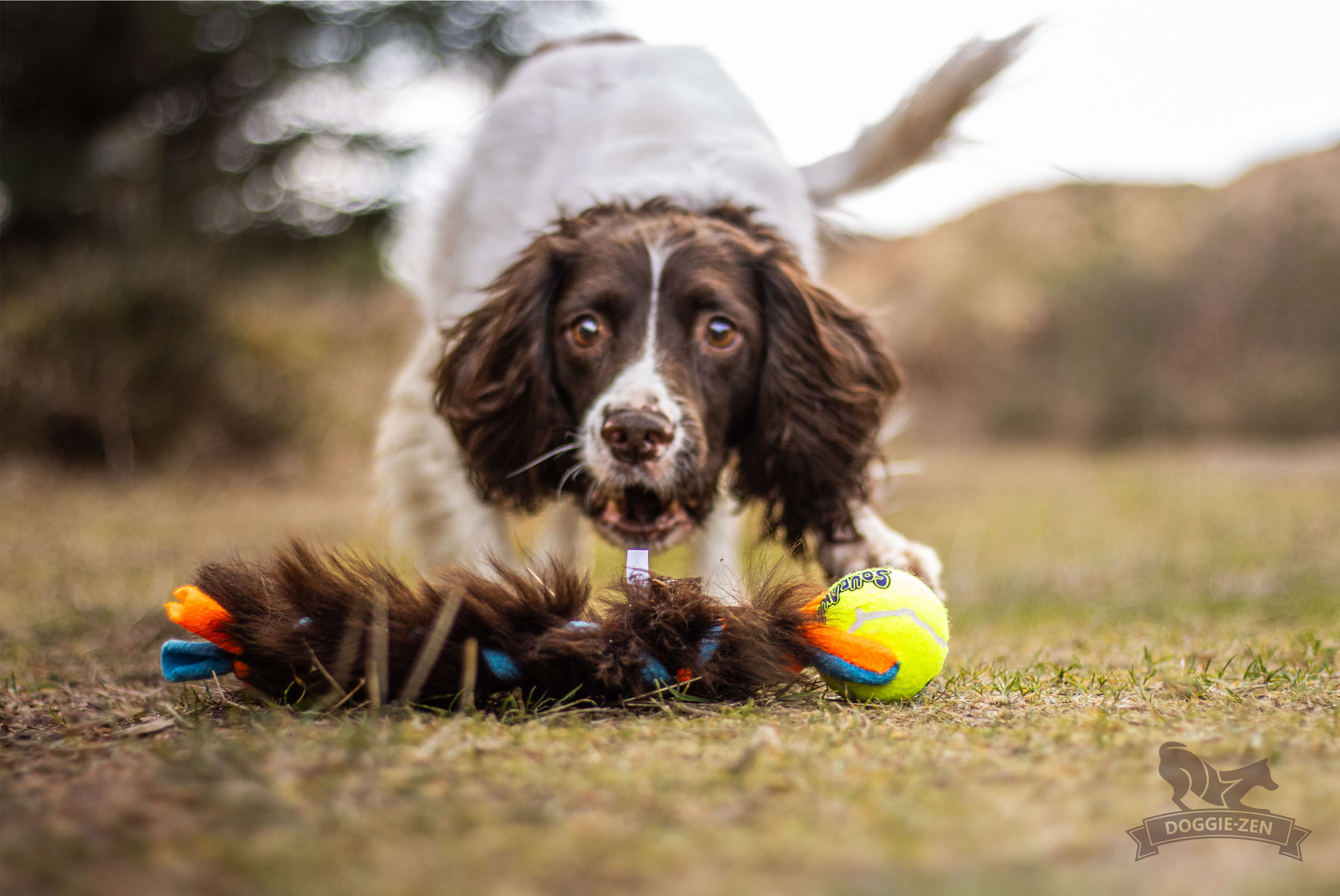 Fleece 'n Sheepskin Braid with KONG Air Squeaker Ball - 4
