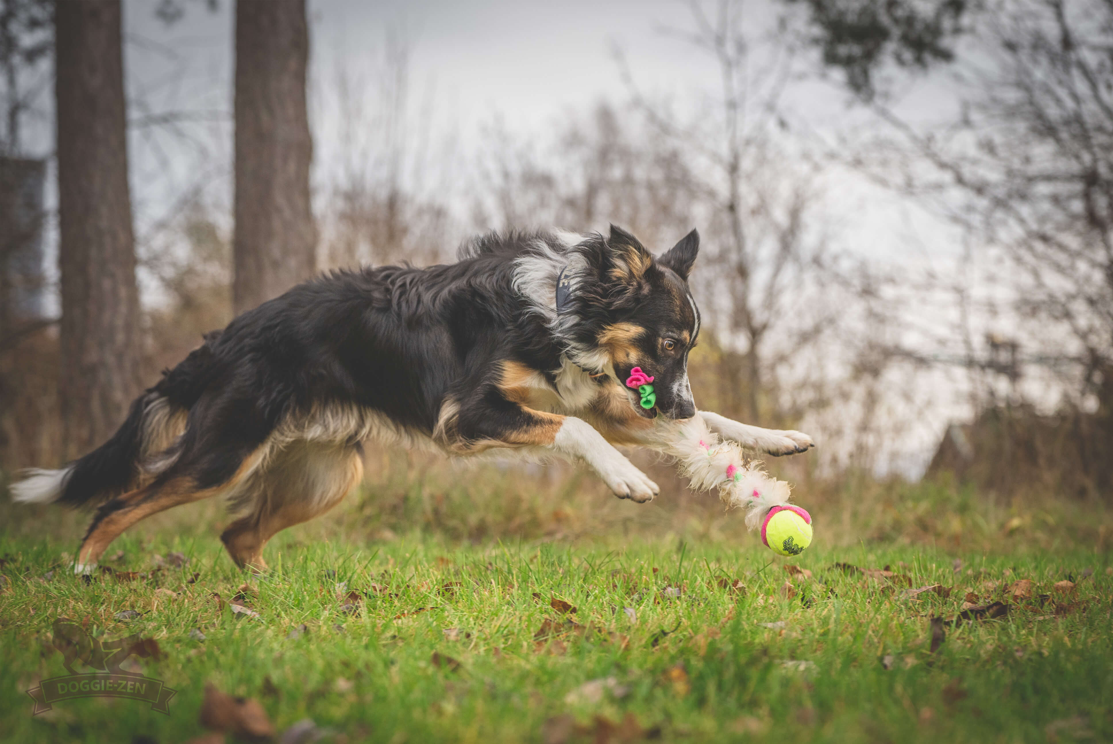 Fleece 'n Sheepskin Braid with KONG Air Squeaker Ball - 9