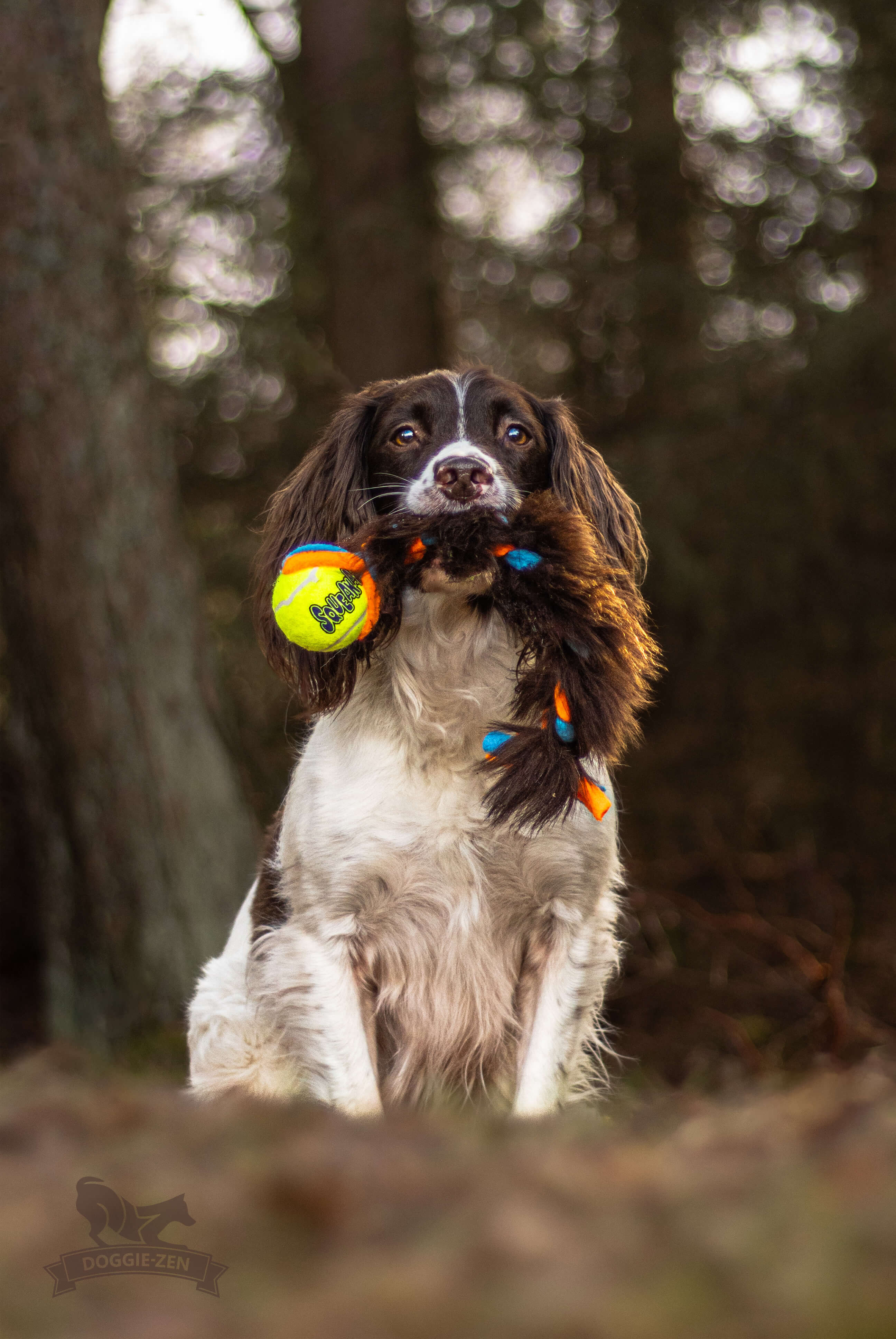 Fleece 'n Sheepskin Braid with KONG Air Squeaker Ball - 7