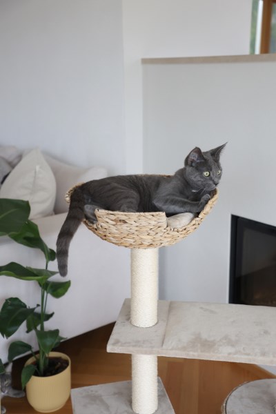 Kerbl Cat Tree Banana Leaf Jade 