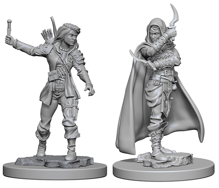 Pathfinder Deep Cuts Unpainted Miniatures - Human Female Rogue